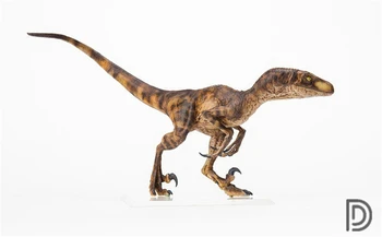 DINO SEN 1:15 Rozsahu Velociraptor Raptor v kuchyni Obrázok Dromaeosauridae Dinosaura Model Kolektor Zviera Dospelých Hračka Darček
