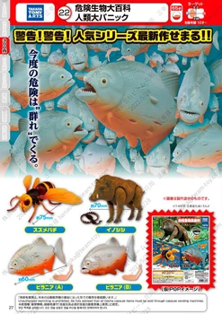 Japonsko T-umenie Bee diviak Model Ryby, Dekorácie Simulácia Stvorenia Veľká Encyklopédia